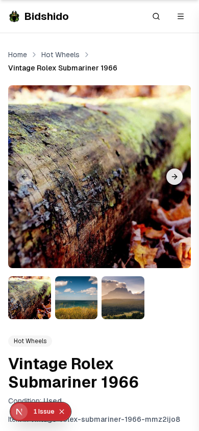 Bidshido auction detail page showing bidding interface